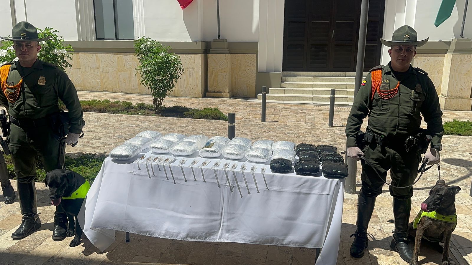 Caninos lograron masiva incautación en Bucaramanga