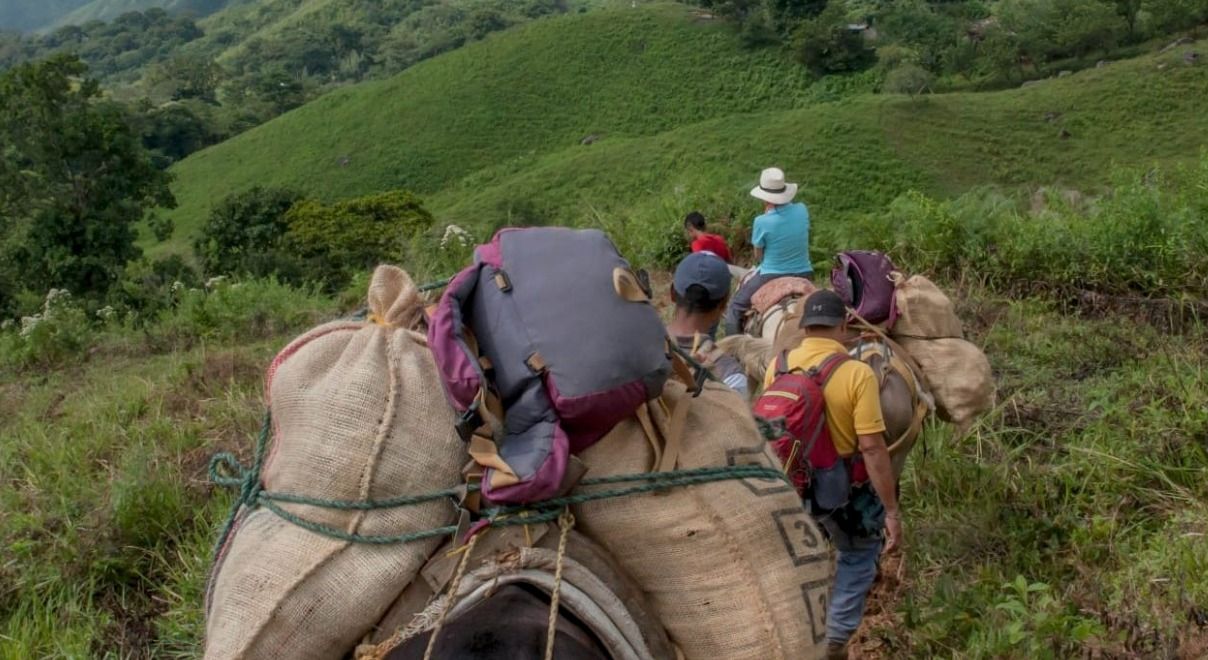 Colombia tiene 8 millones 680 mil víctimas de desplazamiento