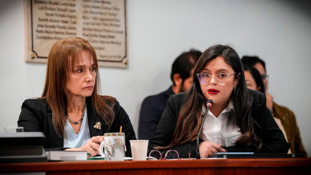 Alcaldesa de Vetas solicita investigar reuniones “secretas” entre Minambiente y activistas