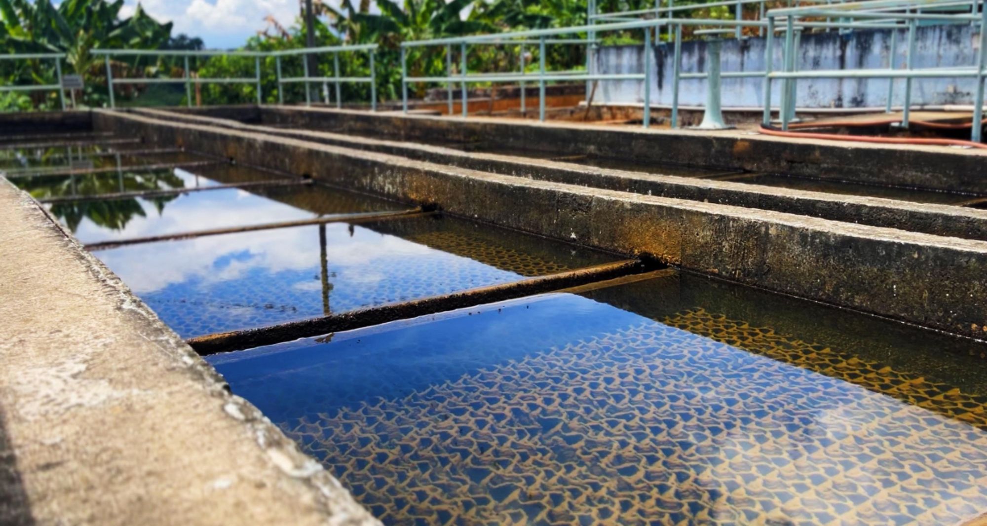 Mejoras en Empulebrija permiten disminución en tarifas de aseo en Lebrija