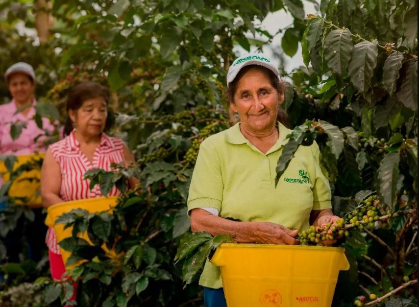 Veinticuatro emprendedoras colombianas conquistarán África