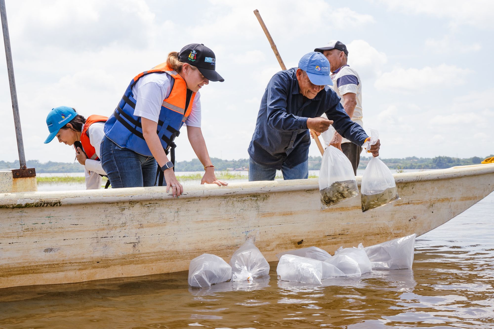 Barrancabermeja repuebla sus ciénagas para revitalizar la pesca artesanal