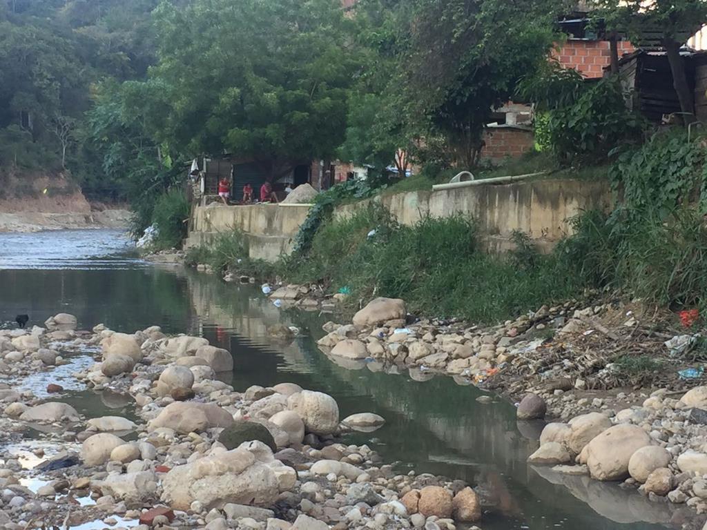 Bucaramanga llevará a la COP16 ambicioso plan para proteger su biodiversidad