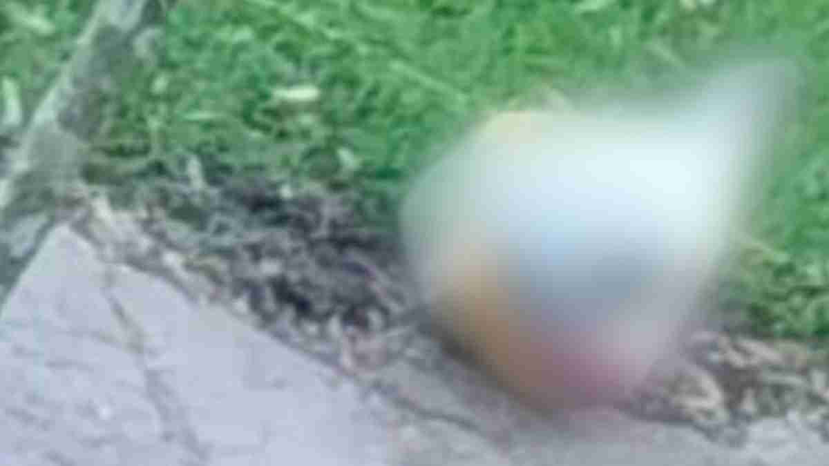 Hallazgo macabro de un cuerpo desmembrado en zona verde