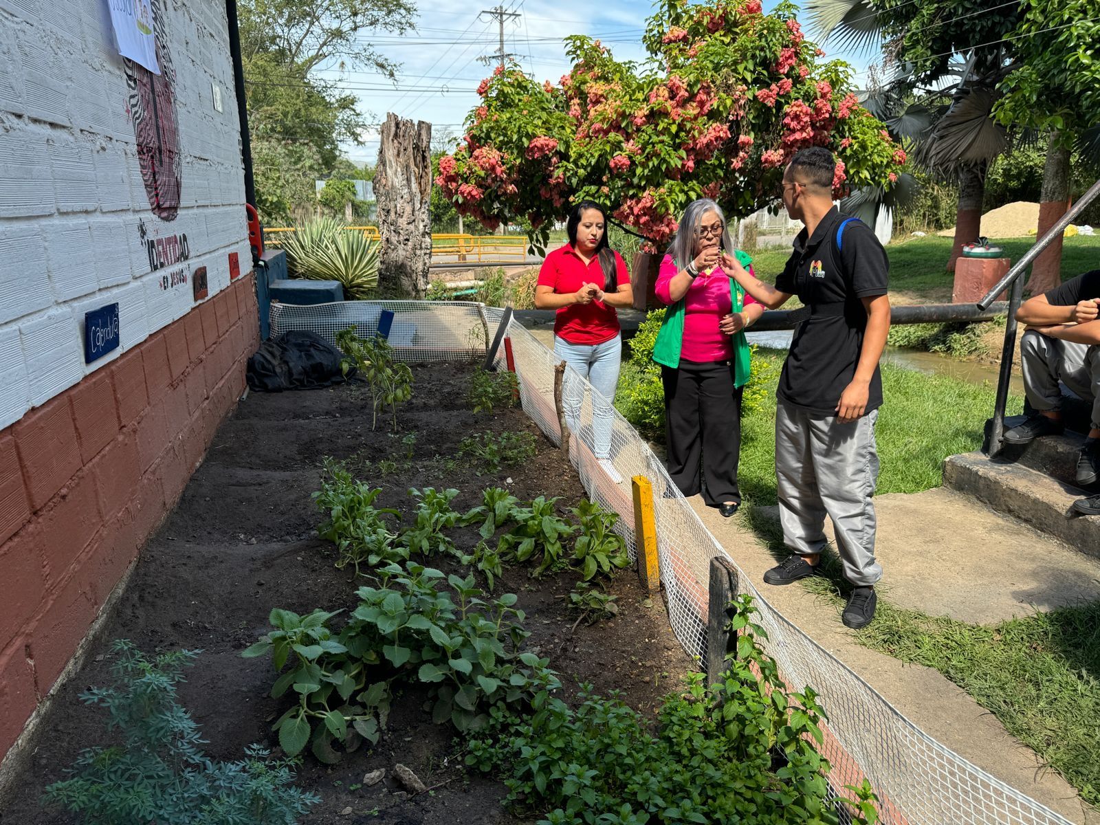 ICBF potencia el desarrollo personal con huertas ecológicas en Piedecuesta