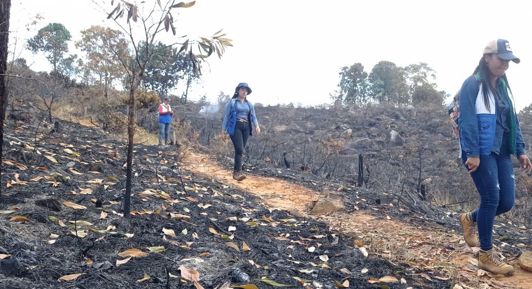 Incendio forestal en Girón consumió 45 hectáreas (FOTOS)