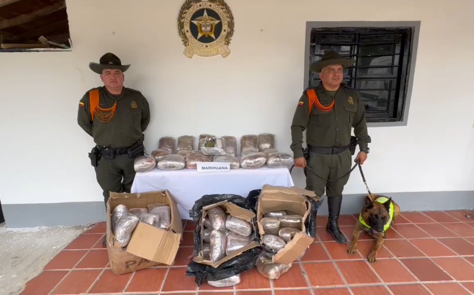 'Daz' y 'Baileys' siguen evitando que la 'droga' entre a Bucaramanga