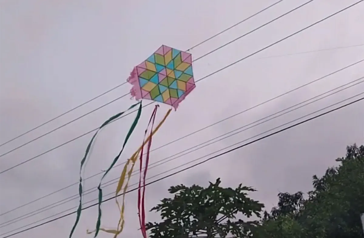 Menor fallece electrocutado al intentar recuperar su cometa de cables de alta tensión