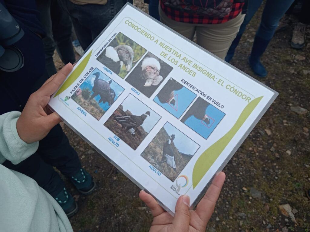 Semillero 'Los Cloroplastos' realizó investigación en la reserva natural 'La Piedra del Cóndor'