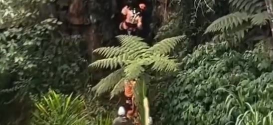 Perrito completó 5 días atrapado en el Salto del Duende