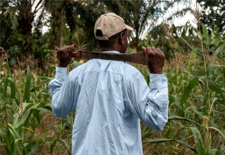 La violencia continúa acechando a los defensores de derechos humanos