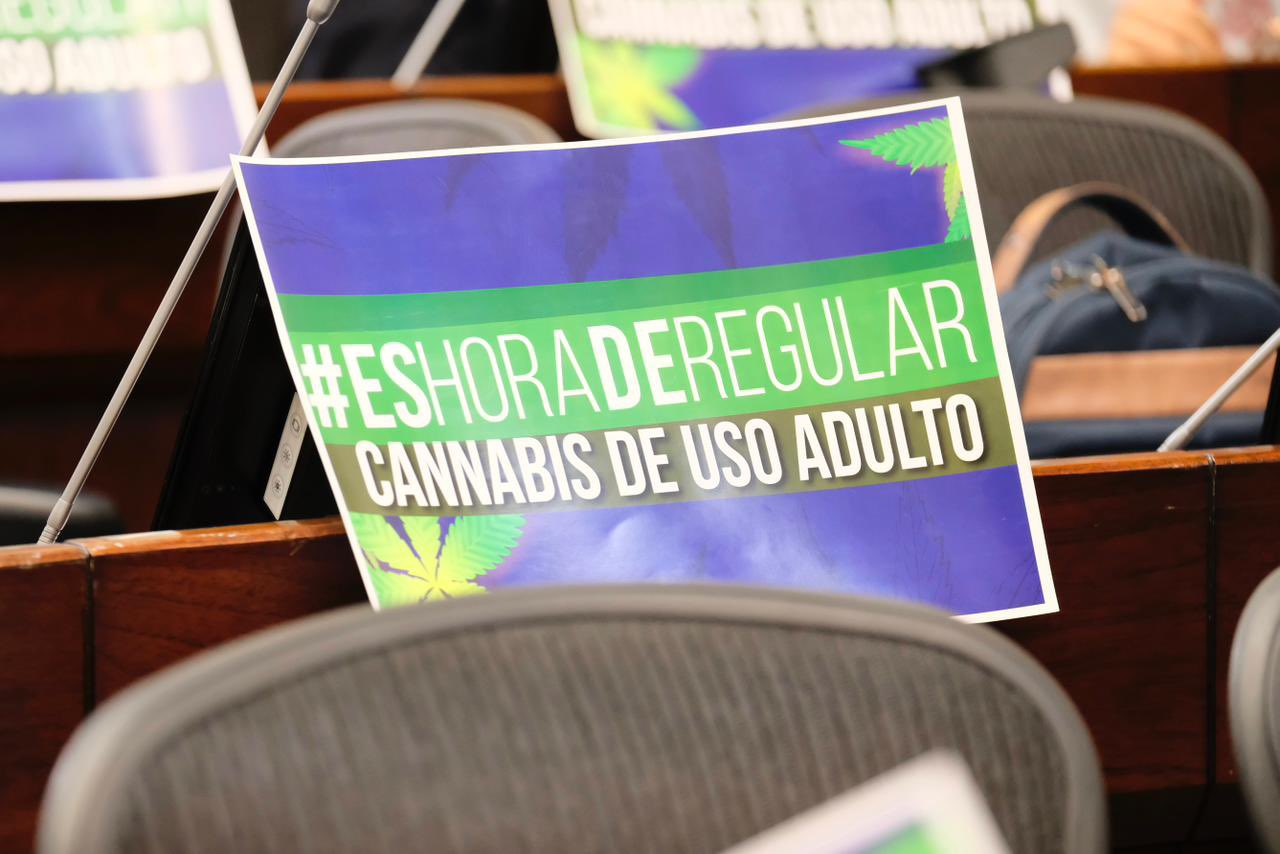 Regulación del cannabis vuelve a la agenda de la Cámara tras fracaso en la anterior legislatura