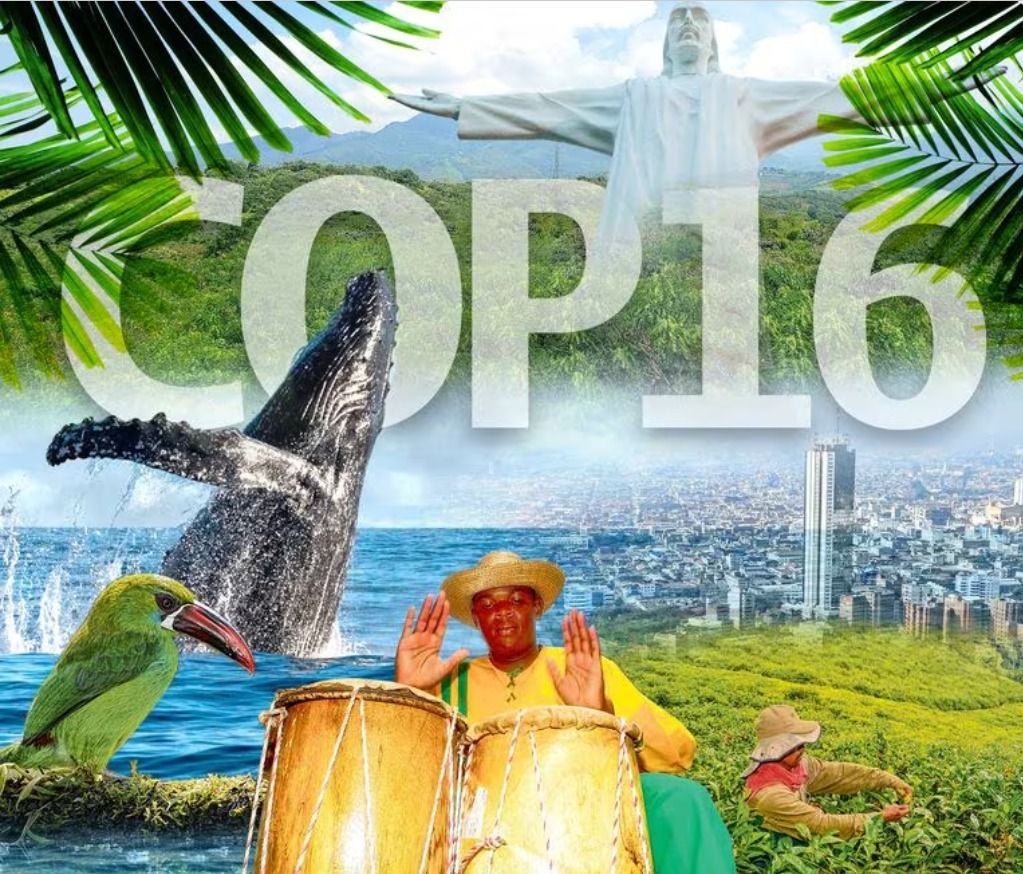 ¿Hay irregularidades en los contratos ejecutados para la COP16? Indagaciones preliminares para ver cómo es la cosa
