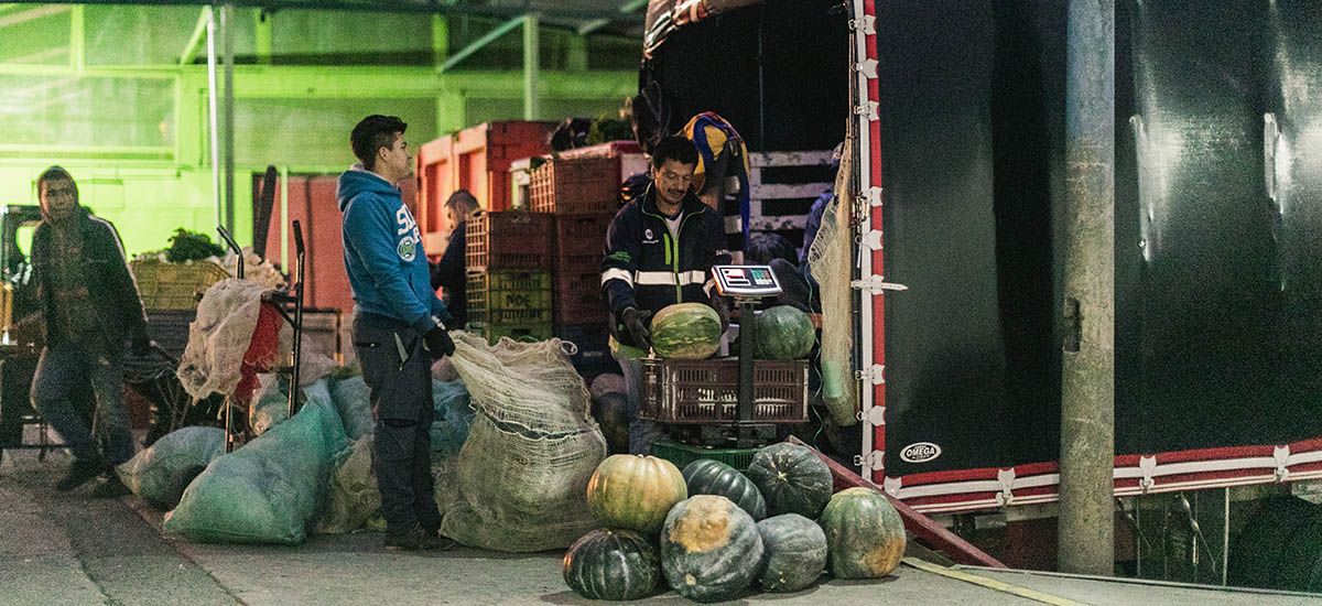 MinAgricultura inicia plan de acción para acelerar salida de alimentos represados, tras fin del paro camionero