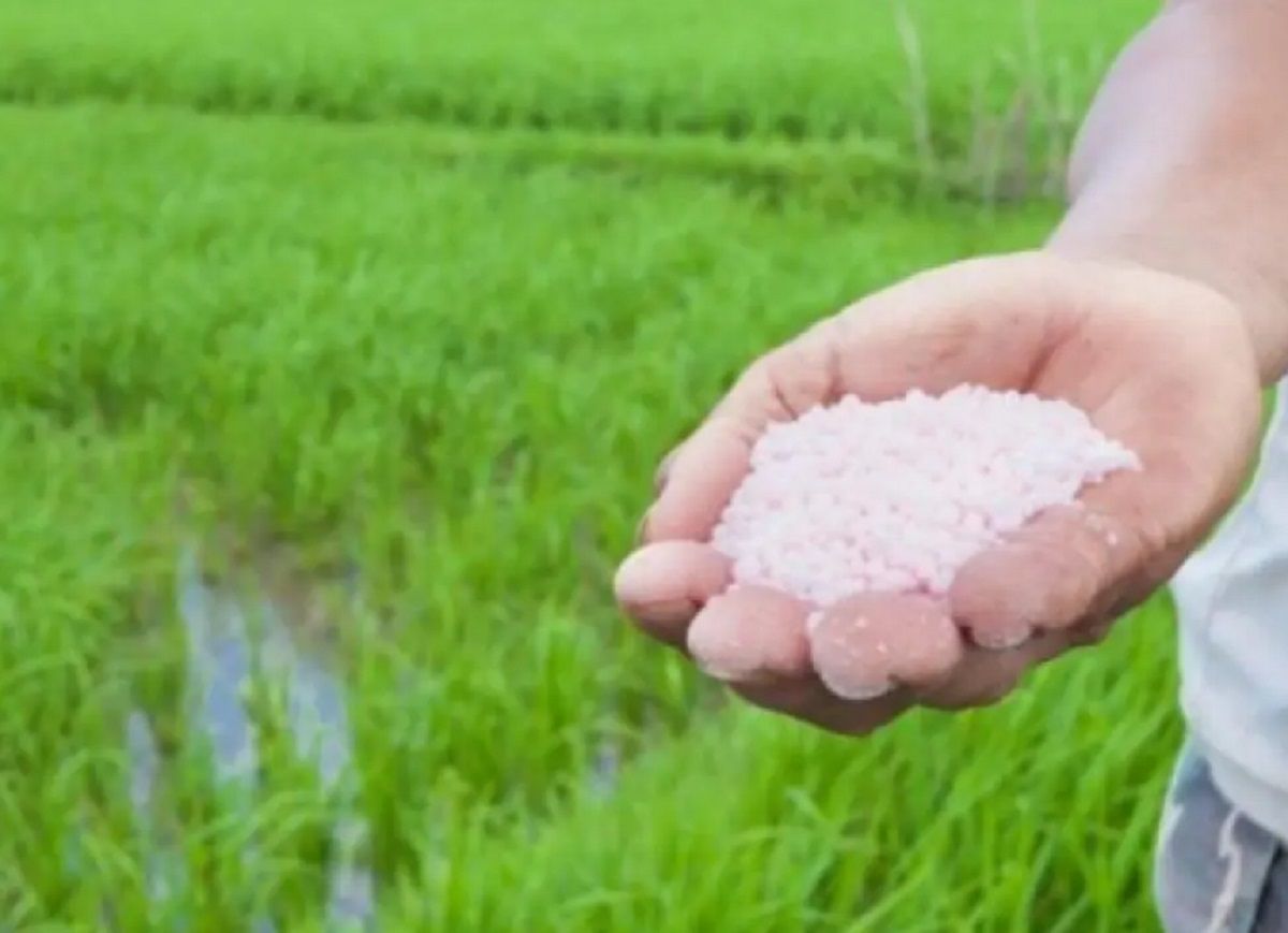 Arroceros de Norte de Santander se reúnen para definir el futuro del sector
