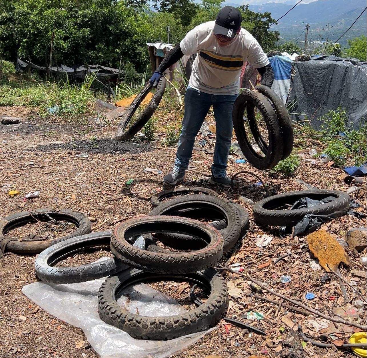 Bucaramanga intensifica lucha contra el dengue con la "Ruta del Zancudo"
