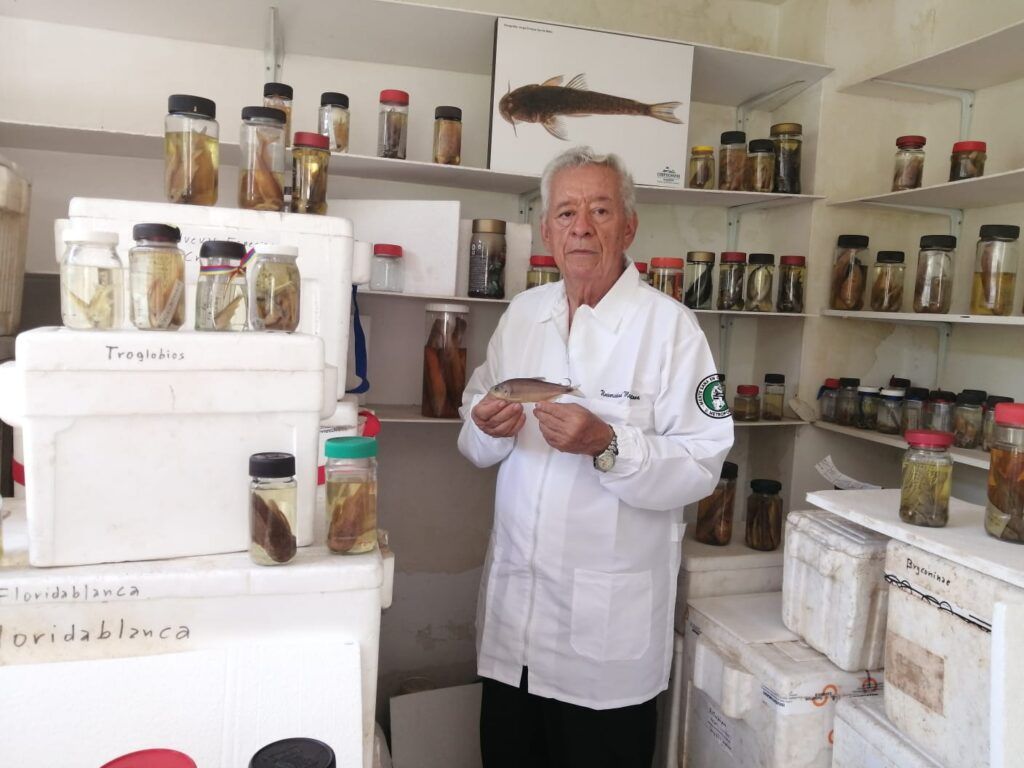 Científico florideño homenajea su alma mater con hallazgo de Creagrutus metropolitana