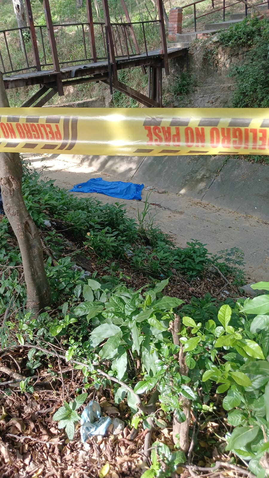 A 'Pocho' le dieron 'lata' hasta la muerte en Girón