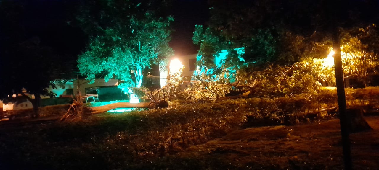 Vendaval impactó Cepitá: 300 viviendas afectadas y daños extensos