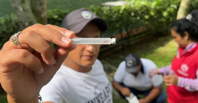 Floridablanca registra baja en contagios de dengue, pero se mantiene alerta