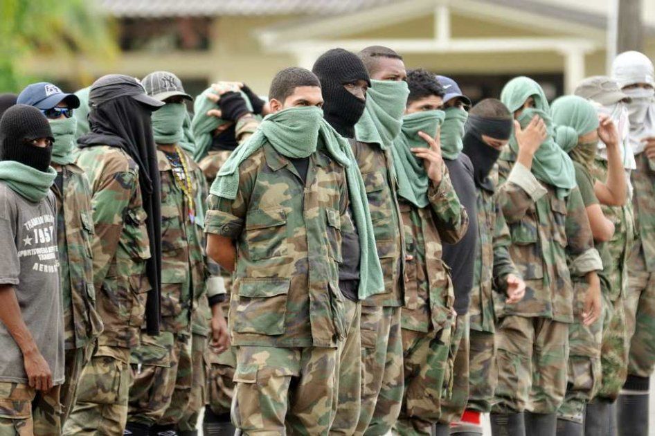 Desmovilización de 15 integrantes de grupos armados en 2024