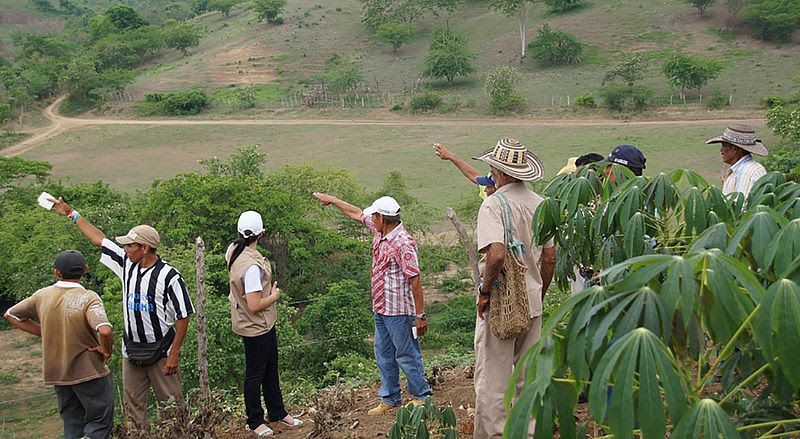 Gobierno entregará tierras de exparamilitares a víctimas del conflicto