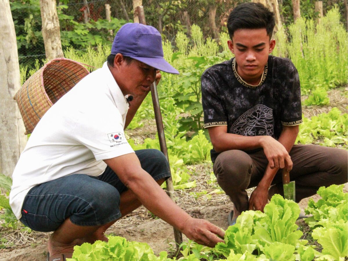 Con un proyecto de ley pretenden aumentar los ingresos de los pequeños agricultores