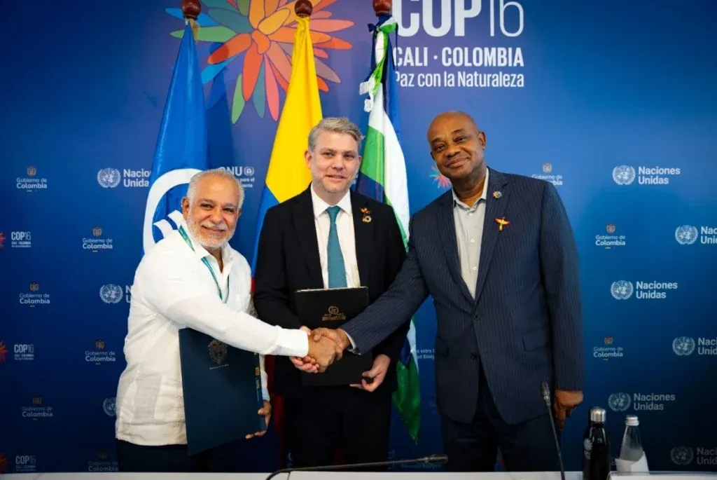 COP16: Colombia y el Gran Caribe se comprometen a restaurar ecosistemas de manglar