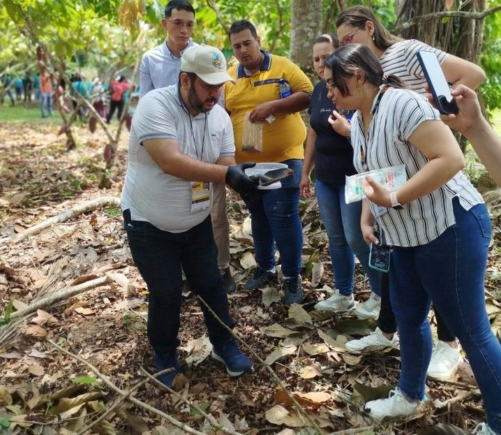 AGROSAVIA lidera la lucha contra el cadmio en el cacao colombiano