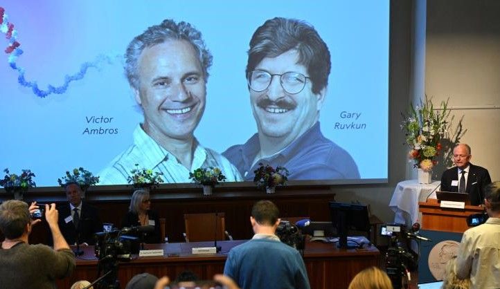 Nobel de Medicina 2024 para dos estadunidenses