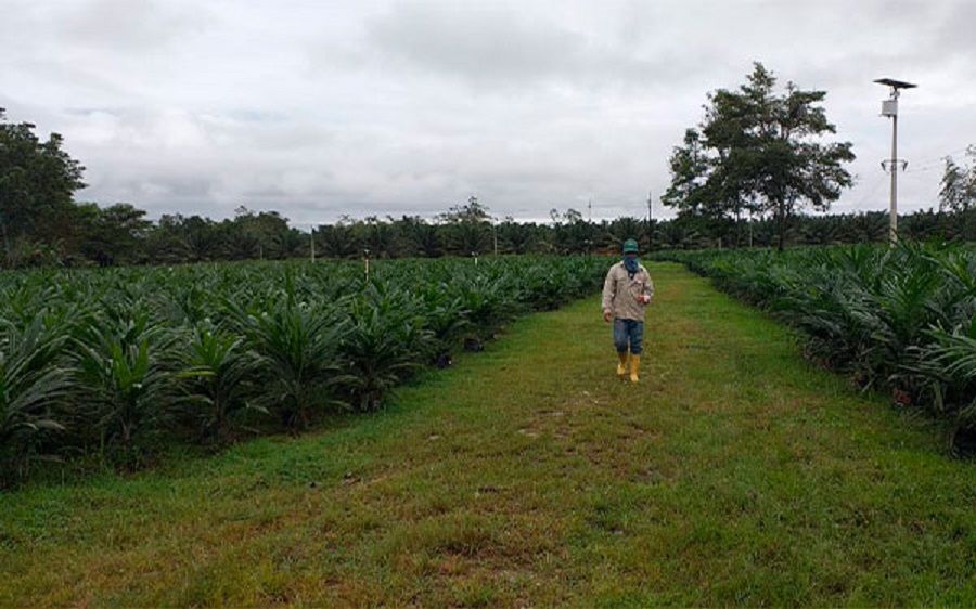 La Palma es un Camino de oportunidades y desafíos en Puerto Wilches
