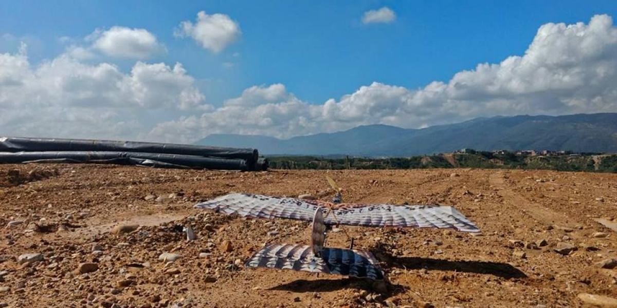 Amenaza de gallinazos cuestiona operaciones en Aeropuerto Palonegro de Bucaramanga