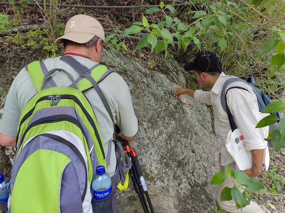 Hallan 120 nuevas especies de líquenes en el Cañón del Chicamocha