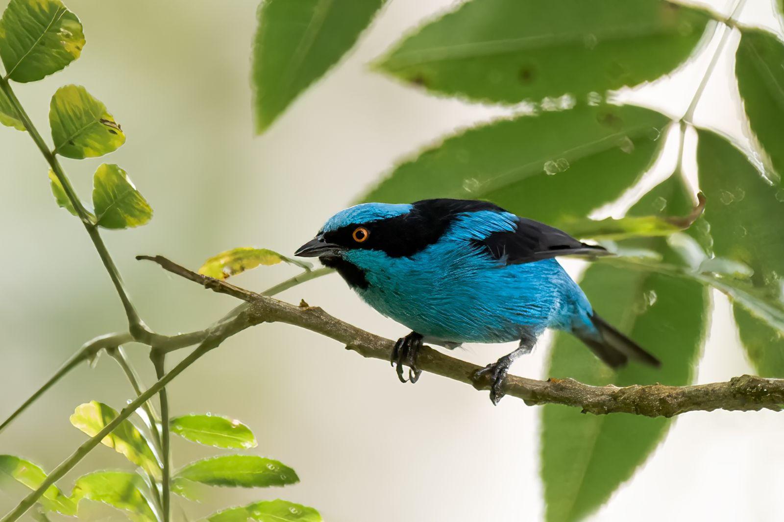 El October Big Day llega a Nariño con el XXI Festival de las Aves