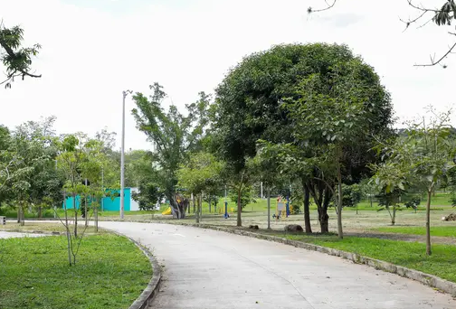 Profloridablanca trabaja en el embellecimiento del Parque de la Familia