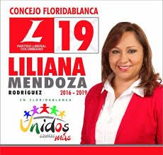 Concejal de Floridablanca sin su curul: no tuvo en cuenta prohibiciones a la hora de la financiación de su campaña