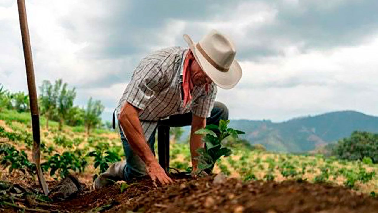 No se deje estafar: alertan a Campesinos de tramitadores que ofrecen intermediación en la ANT