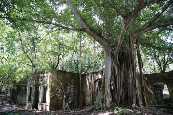 El Gobierno Nacional conmemora este mes 39 años de la tragedia de Armero