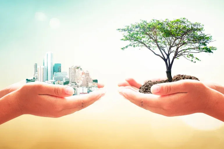 Conozca los beneficios que puede tener su empresa al invertir en proyectos sostenibles