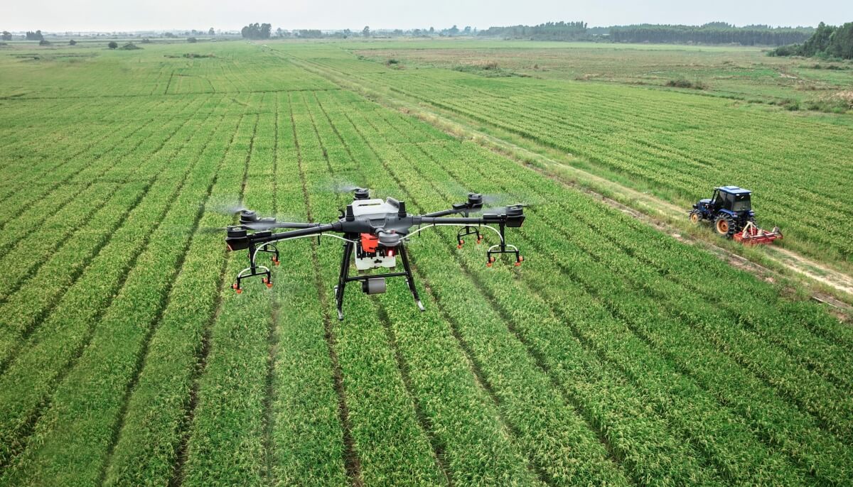 Entretenimiento y agricultura impulsan el crecimiento económico colombiano