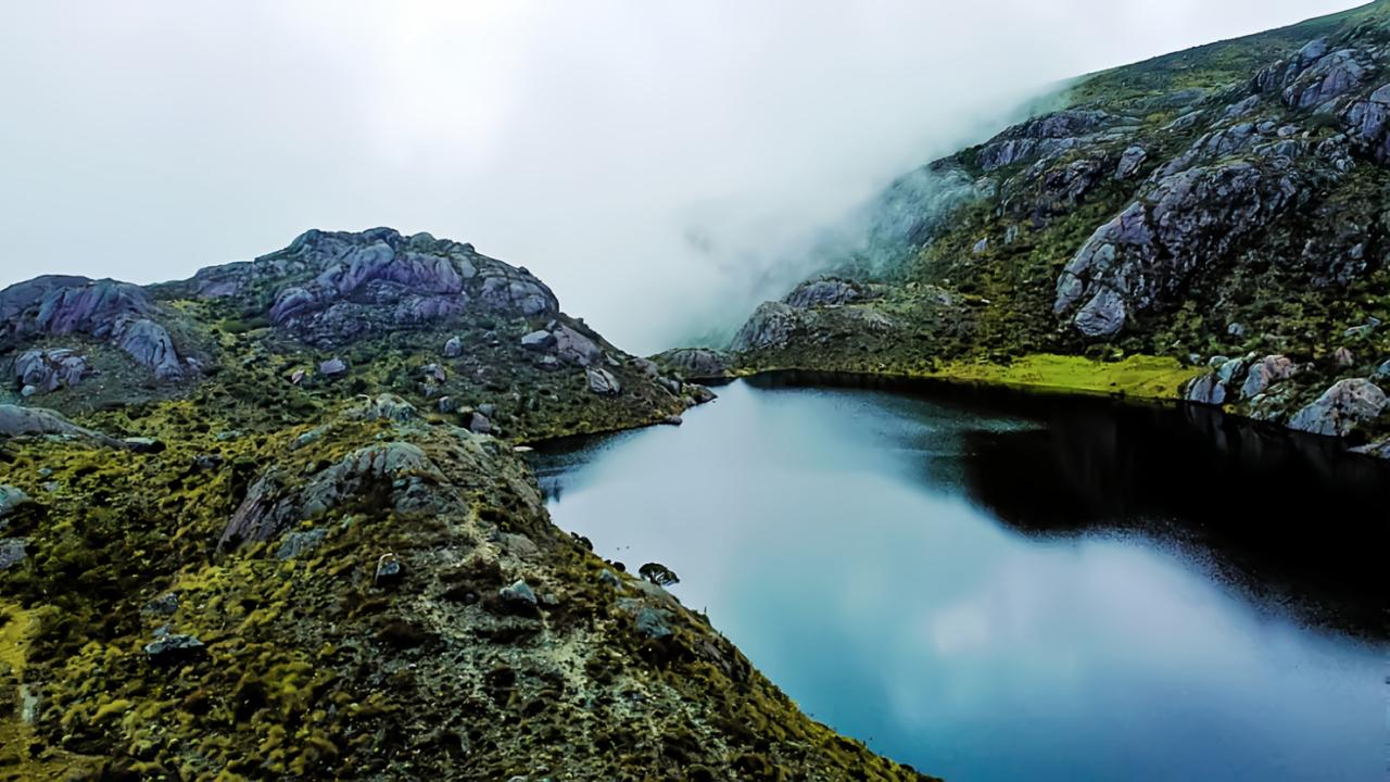 Bucaramanga lidera la conservación y atrae inversión internacional