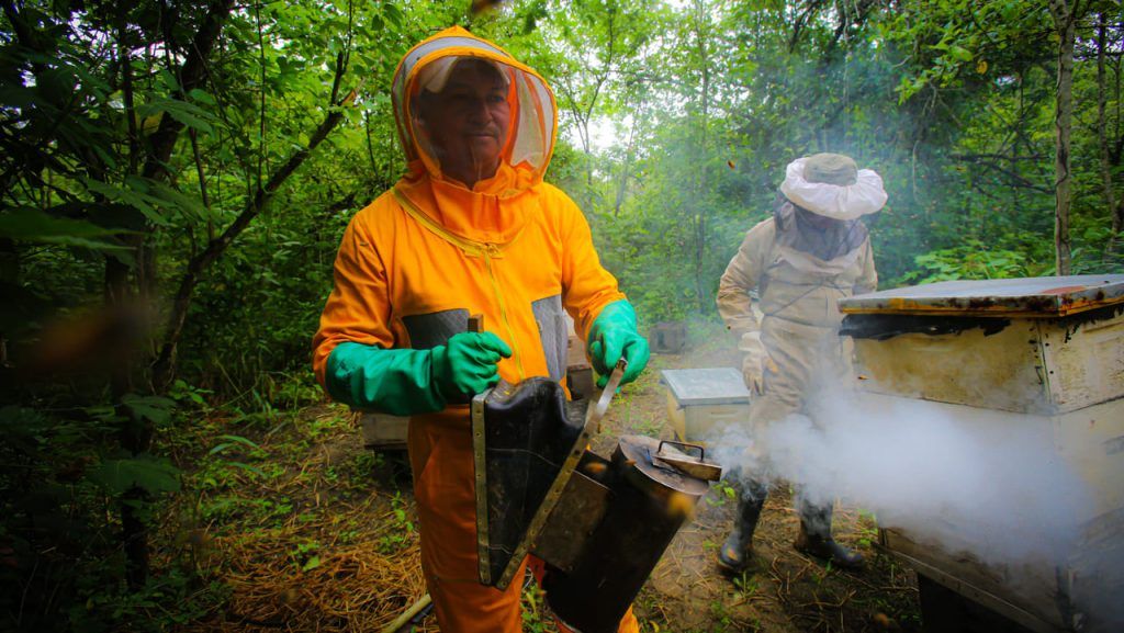 La apicultura como camino de paz en Montes de María