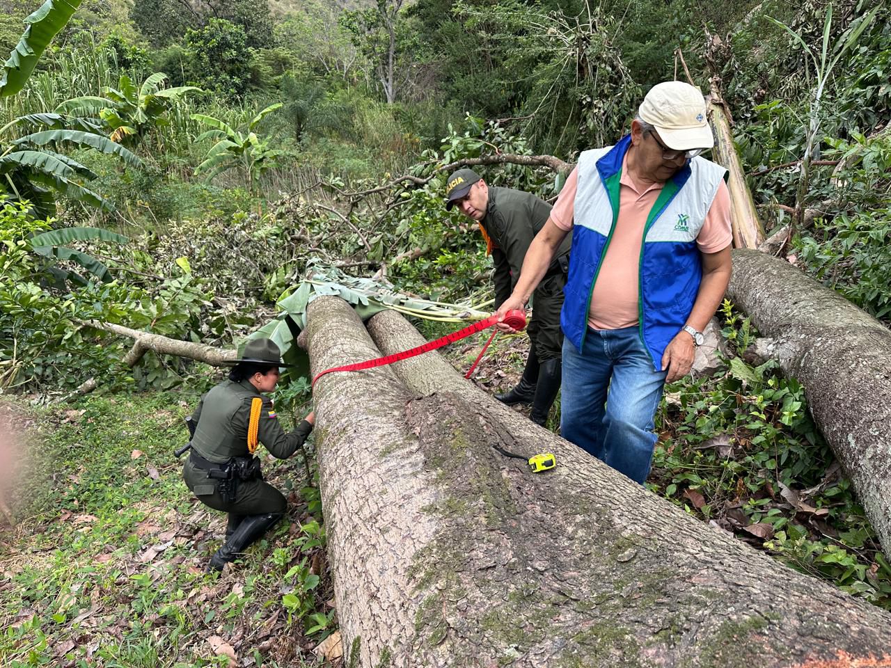 Lucha contra el tráfico de madera deja 21 capturados