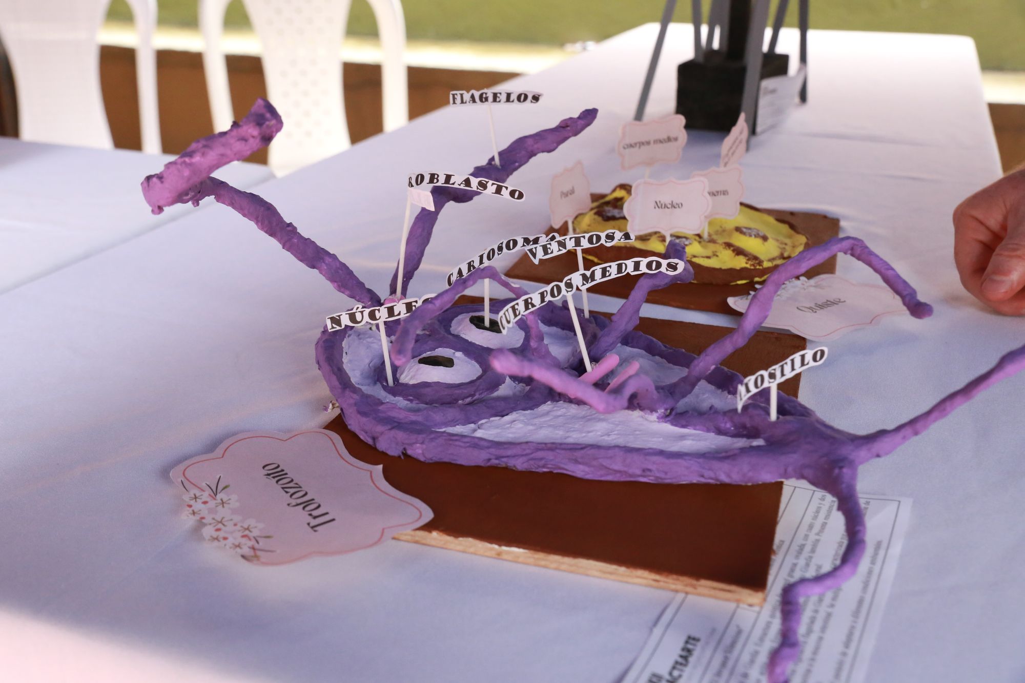 BacteArte 2024: Celebrando la microbiología a través del arte