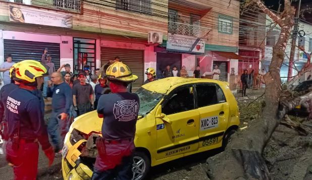 Taxista se salvó de milagro tras caída de árbol en Campo Hermoso