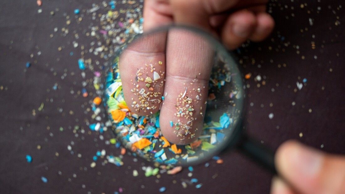 Estudio revela presencia de microplásticos en alimentos y aire