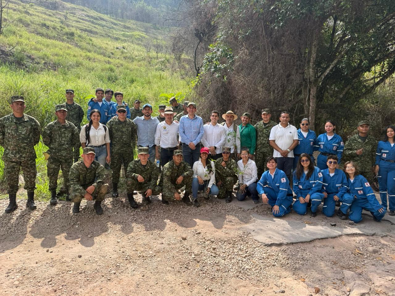 103 mil árboles se sembraron en Santander