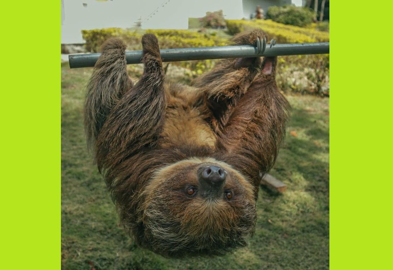 La CAS mantiene sus esfuerzos ambientales en Santander