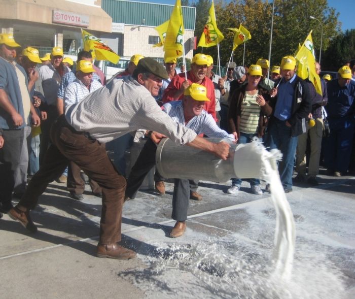 Lecheros de Santander insistirán el Congreso medidas para paliar su crisis