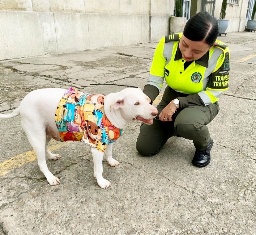 Lina Cristancho: una historia de superación y liderazgo en la Policía Nacional